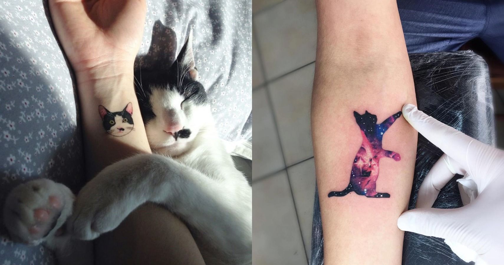 27 Awesome Cat Tattoos that Celebrate Incredible Kitties